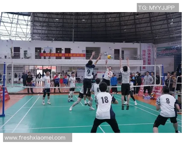 成都排球队在精英赛中的灵活性表现分析与启示 成都排球队在精英赛中的灵活性表现分析与启示