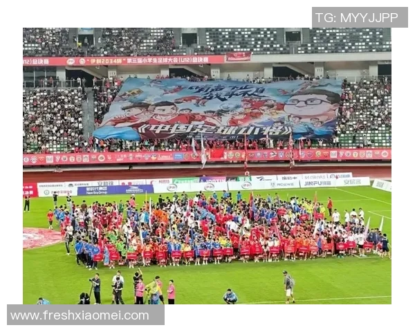 日喀则地区足球明星阵容详细分析与图表展示 日喀则地区足球明星阵容详细分析与图表展示