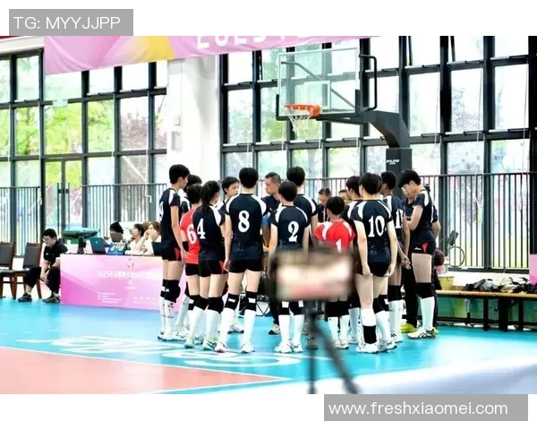 成都排球队的拼搏之路挑战赛背后的故事与荣耀 成都排球队的拼搏之路挑战赛背后的故事与荣耀