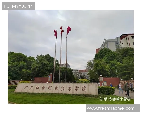 广州篮球队心理素质提升之路探讨与热议分析