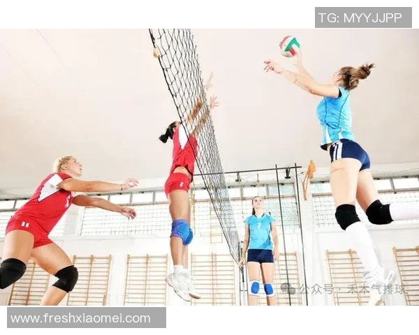 杭州排球队的耐力挑战与训练探索聚焦排球运动的未来发展 杭州排球队的耐力挑战与训练探索聚焦排球运动的未来发展