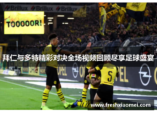 拜仁与多特精彩对决全场视频回顾尽享足球盛宴